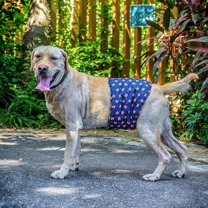 CuteBone Belly Wrap Male Dog Washable Puppy Diapers Reusable Doggie Diapers XLarge 3pcs a Pack DM02XL