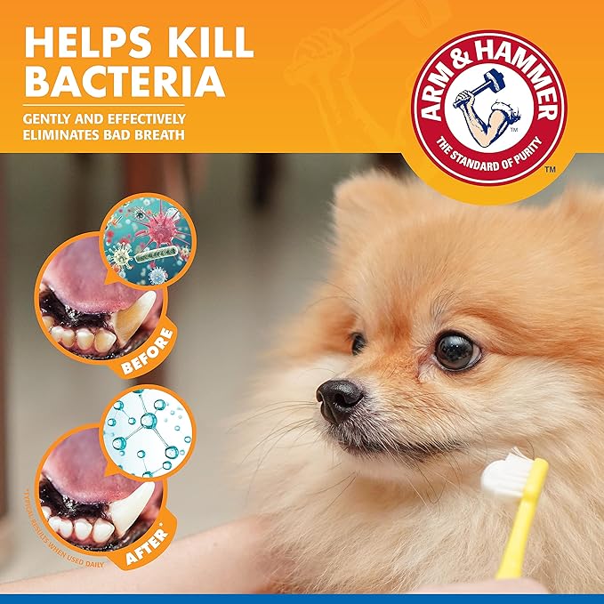 Combo Pack: Arm & Hammer Dog Dental Tartar Control Water Additive and Fresh Breath Vanilla Ginger Enzymatic Toothpaste