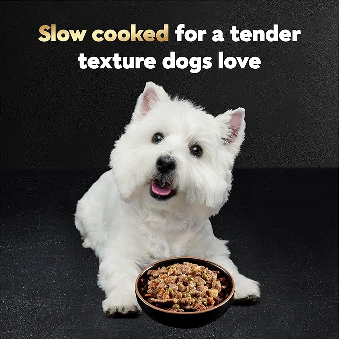 Cesar Home Delights Adult Wet Dog Food, Hearty Chicken & Noodle Dinner in Sauce, Wet Food for Dogs, 3.5 oz Tray, 24 Count