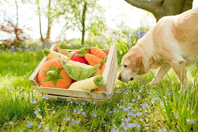 P.L.A.Y. Cute Plush Dog Toys - Fruit & Vegetable Themed Durable Squeaker Chew Toy, Great for Puppies & Small, Medium, Large Dogs - Machine Washable, Recycled Materials (Garden Fresh Peapod, Medium)