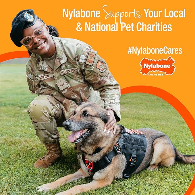 Nylabone Healthy Edibles Wild Natural Long-Lasting Turkey Flavor Bone Chew Treats for Dogs, Small/Regular (), 4 Count (Pack of 2)