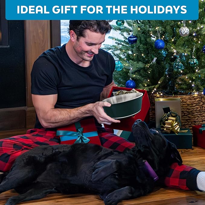 Master Pet Supply Stainless Steel Dog Bowls Set of 2 (32 Oz Each) with Non-Slip Rubber Base - Stainless Steel - Basic Dog Food Bowl Water & Food Bowls for Small Medium Large Dogs & Cats, Metal Dish