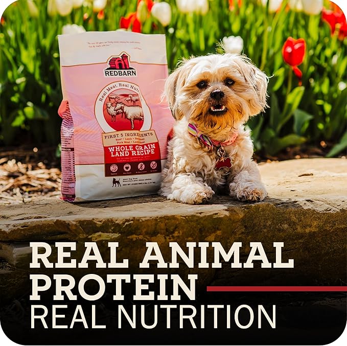 Redbarn Grain-Free Large Breed Dog Food Kibble - Beef & Lamb Recipe - Made in USA No Chicken Recipe with Functional Ingredients to Support Healthy Heart, Joints, Digestion, Skin & Coat - 15lb