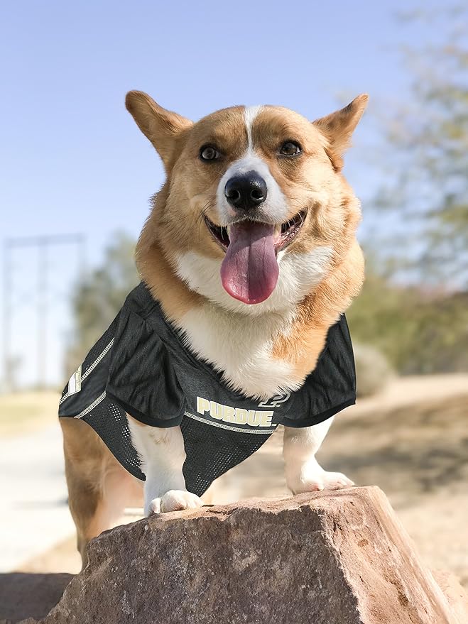 Pets First NCAA College Purdue Boilermakers Mesh Jersey for DOGS & CATS, XX-Large. Licensed Dog Jersey with your Favorite Football/Basketball College Team