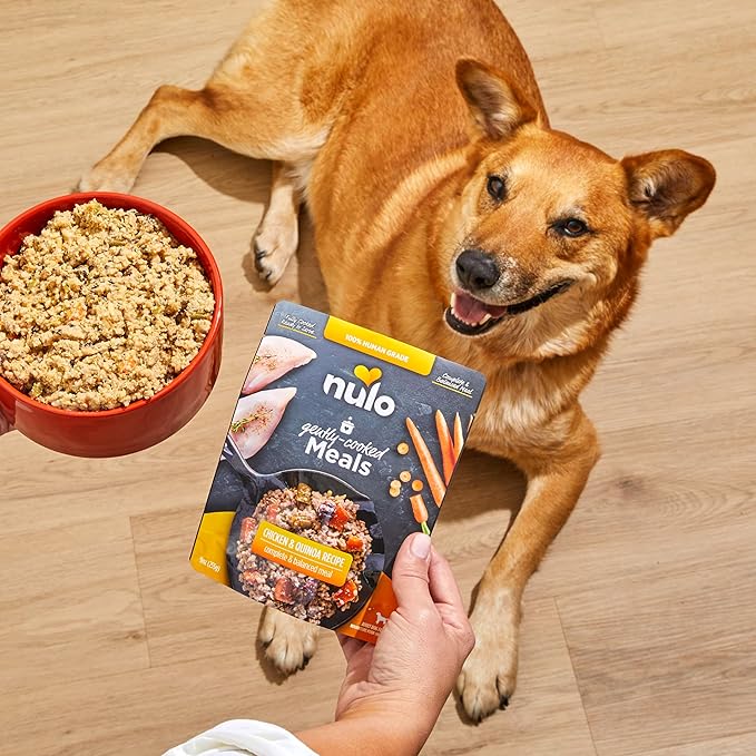 Nulo Gently-Cooked Meals Complete and Balanced Adult Wet Dog Food, Salmon & Brown Rice, 9 Oz (Pack of 8)