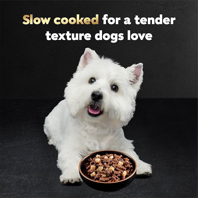 Cesar Home Delights Adult Wet Dog Food, Grilled New York Strip Flavor with Vegetables in Sauce, Wet Food for Dogs, 3.5 oz Tray, 24 Count