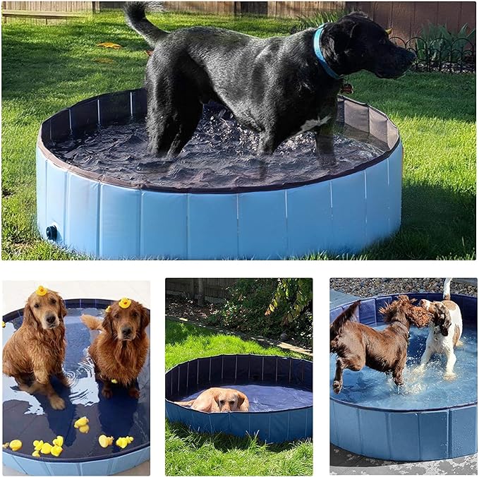 Yaheetech Foldable Hard Plastic Dog Pet Bath Swimming Pool Collapsible Dog Pet Pool Bathing Tub Pool for Pets Dogs & Cats Outdoor -63 x 11.8 inch, Blue
