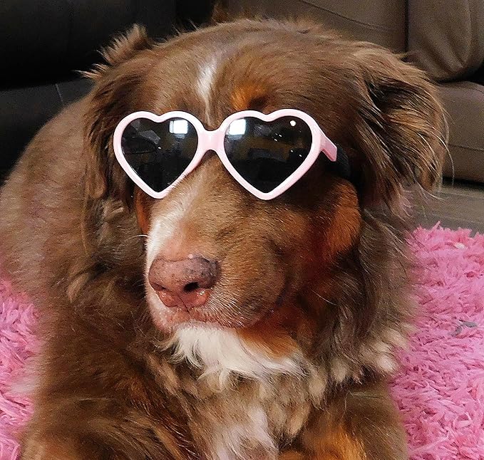 G012 Dog Pet Costume Prop Sunglasses Heart Shape Medium Breeds 20lb-40lbs (2-Pack Red + Pink)