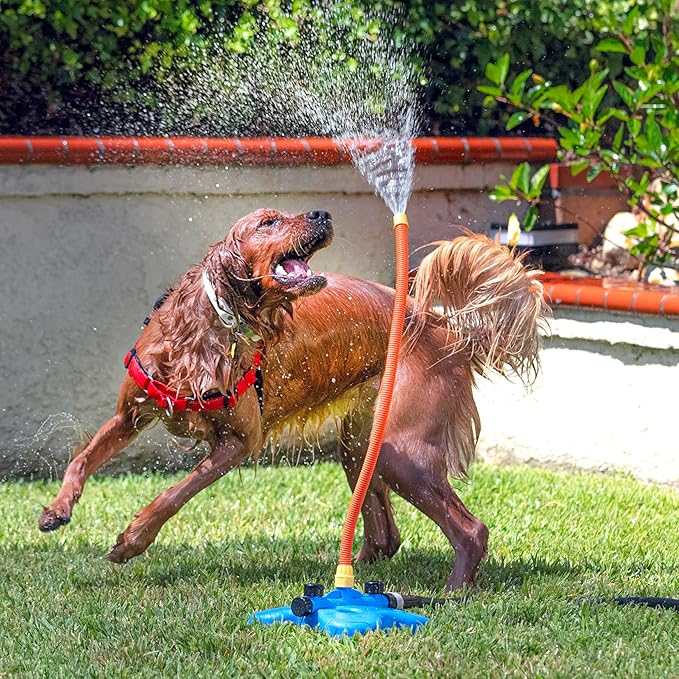 The Wave - The Ultimate Interactive Water Toy for Dogs