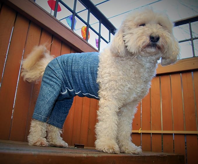 Original Dog Pants, E-Collar Alternative, Dog Diaper, Dog Pajamas, Medium Dog, Blue