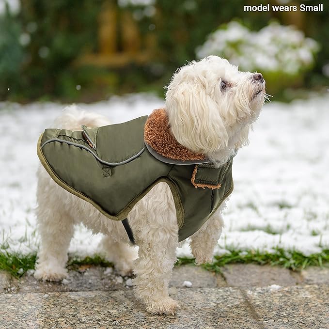 Dog Winter Coat - Warm Dog Clothes for Rain Snow Wind Cold Weather - Reflective Green Adjustable Windproof Pet Vest Jacket with Leash Hole for Small Medium Large Dogs Indoor Outdoor