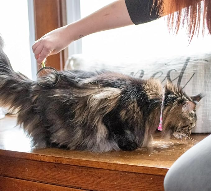 Coastal Pet Stainless Steel Safari Cat Shedding Blade - Cat Hair Removal Brush - Pet Grooming Tool to Prevent Hairballs - 7.5" x 3"