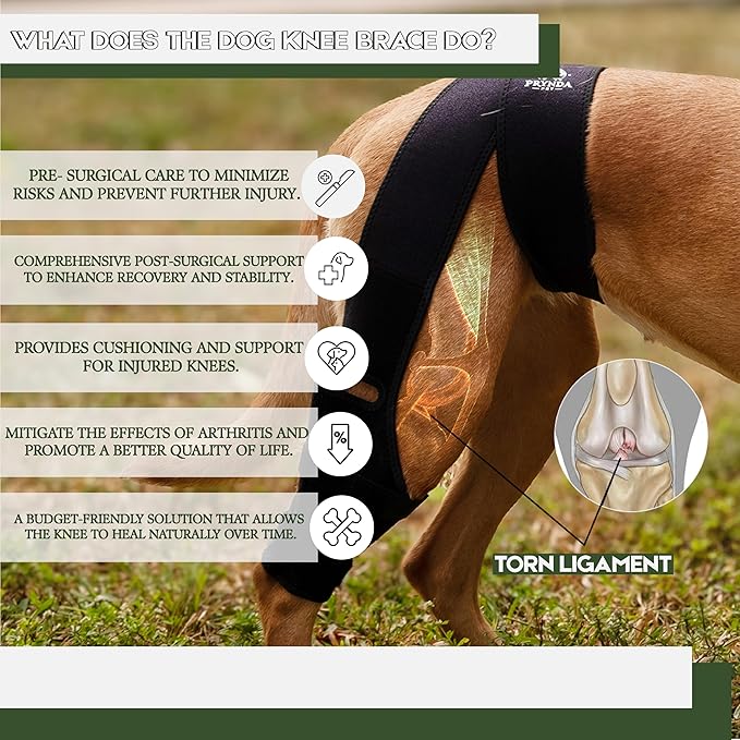 Adjustable Dog Knee Brace for Torn ACL and Luxating Patella - Support for Back Leg, Hip Dysplasia, and Post-Surgery Recovery. Optimal Comfort and Stability for Your Beloved Pet