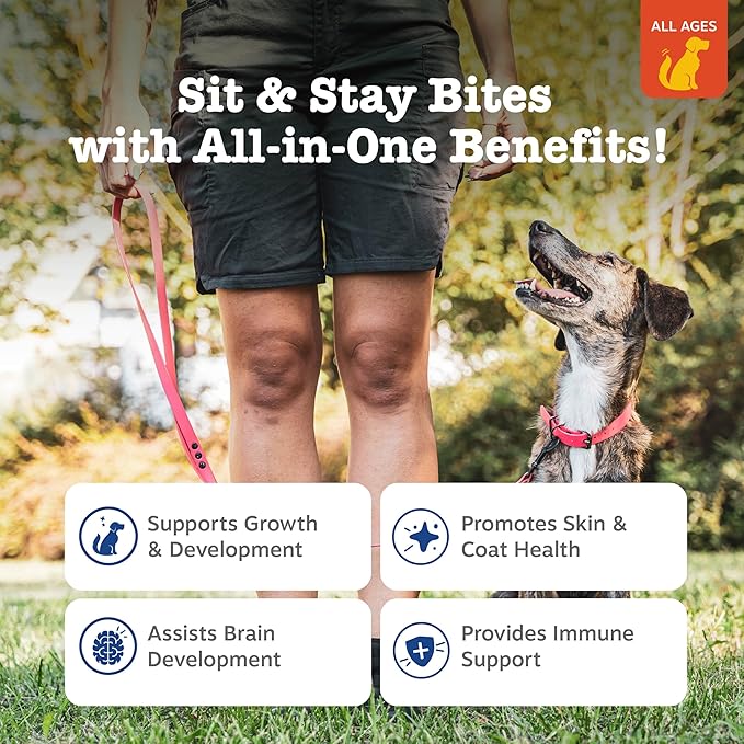 Zesty Paws Training Treats for Dogs & Puppies - Dog Treats for Training - Healthy Dog Chews for Hip, Joint & Muscle Health - for All Breeds and Ages - Bacon Flavor - 8oz