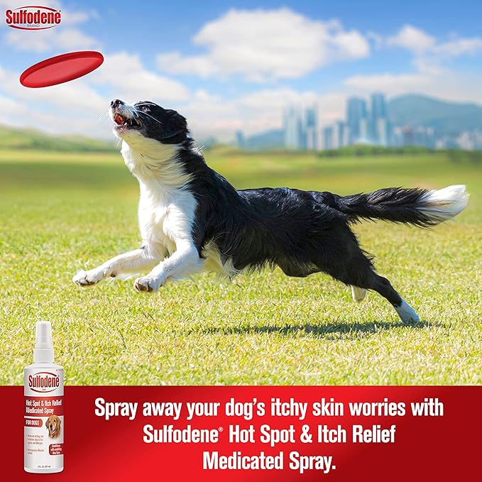 Sulfodene Hot Spot & Itch Relief Medicated Spray for Dog 8oz,(Pack of 2)