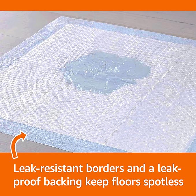Amazon Basics Heavy Duty Absorbent Dog and Puppy Pee Pads with 5-Layer Leak-Proof Design and Quick-Dry Surface for Potty Training, X-Large, 34 x 28 Inches, Blue & White, 10-Count