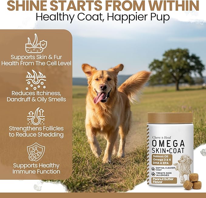 Omega 3 Fish Oil for Dogs, 180 Soft Chews - Salmon Oil Skin & Coat Supplement, Allergy & Itchy Skin Relief, Hot Spots, Anti Shedding - EPA DHA Omega 3 6 9 Fatty Acids, Vitamins - Peanut Butter Flavor