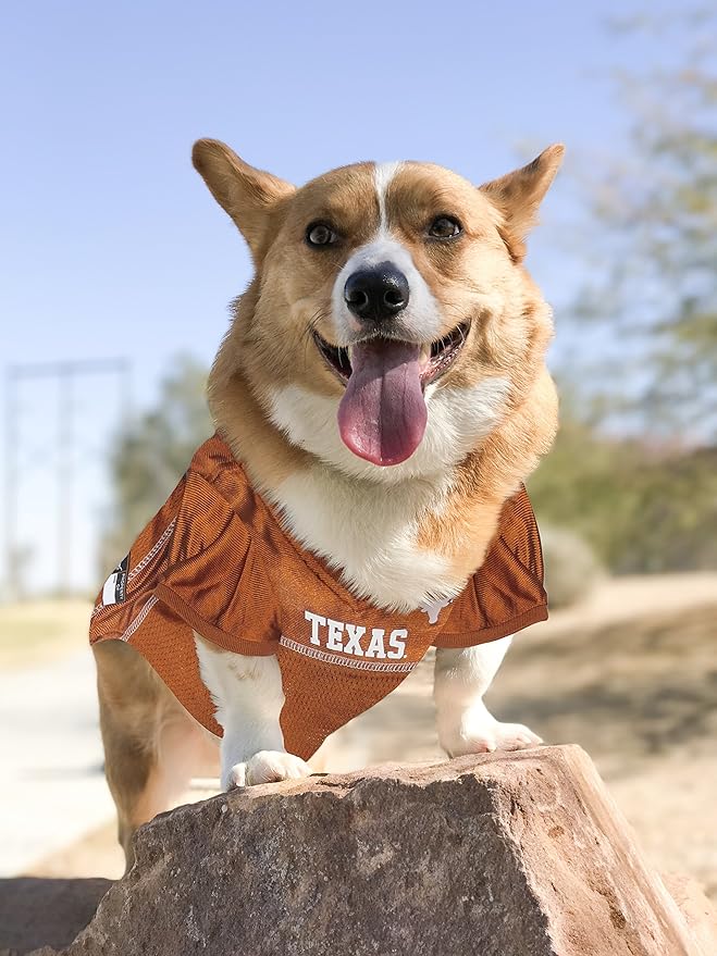 NCAA College Texas Longhorns Mesh Jersey for Dogs & Cats, X-Large. Licensed Big Dog Jersey with Your Favorite Football/Basketball College Team