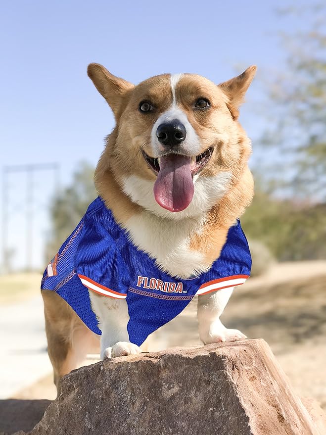 Pets First NCAA College Florida Gators Mesh Jersey for DOGS & CATS, Small.Licensed Dog Jersey with your Favorite Football/Basketball College Team