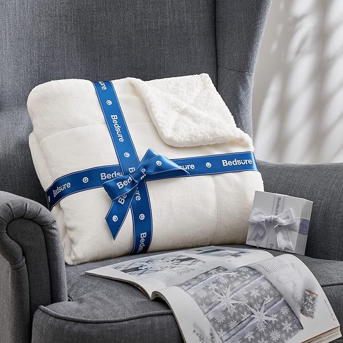 Bedsure GentleSoft Sherpa Fleece Twin Size Blanket for Couch, Non-Heated, Thick and Warm Throw for Women and Men, Soft Fuzzy Plush Twin Blanket for Winter, White, 60x80 Inches