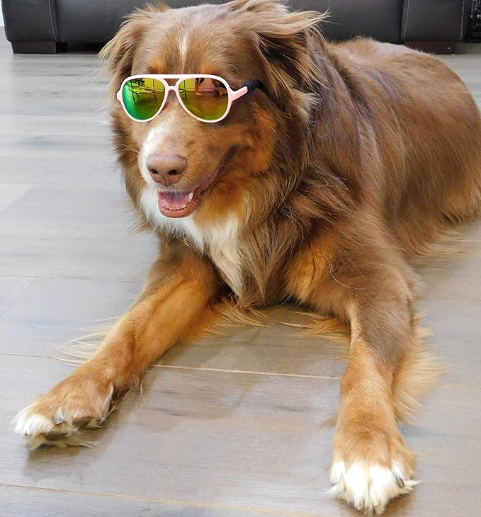 G010 Dog Pet Costume Prop Aviator Sunglasses Medium Breeds 20-40 lbs (2-Pack Black+Pink-Rose Gold mr)