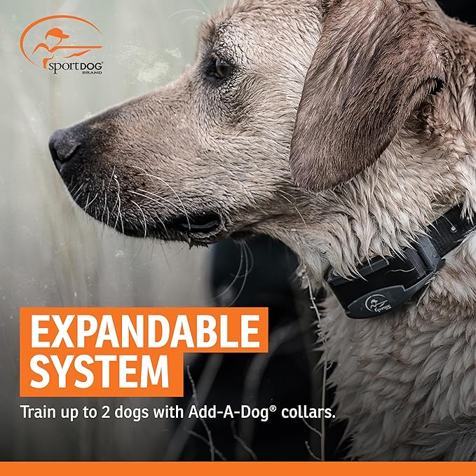 SportDOG Brand SportTrainer 575 Remote Trainer - Bright, Easy to Read OLED Screen - 500 Yard Range - Waterproof, Rechargeable Dog Training Collar with Tone, Vibration, and Static, Black