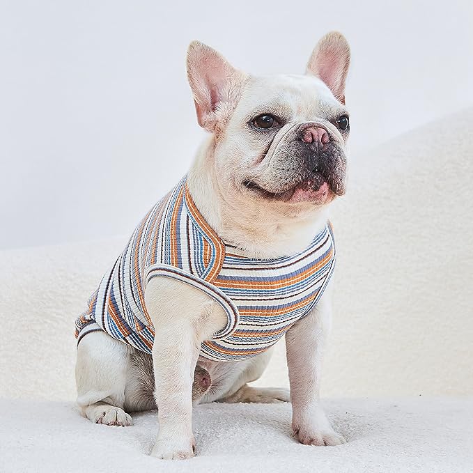Dog Shirts Vest Cotton Striped T-Shirt, Sleeveless Stretchy Pet Clothes for Small Dogs, 2-Pack Soft Breathable Puppy Tank Top Cat Tee (Small, Blue,Yellow)