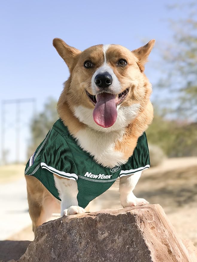 New York Jets Mesh Dog Jersey
