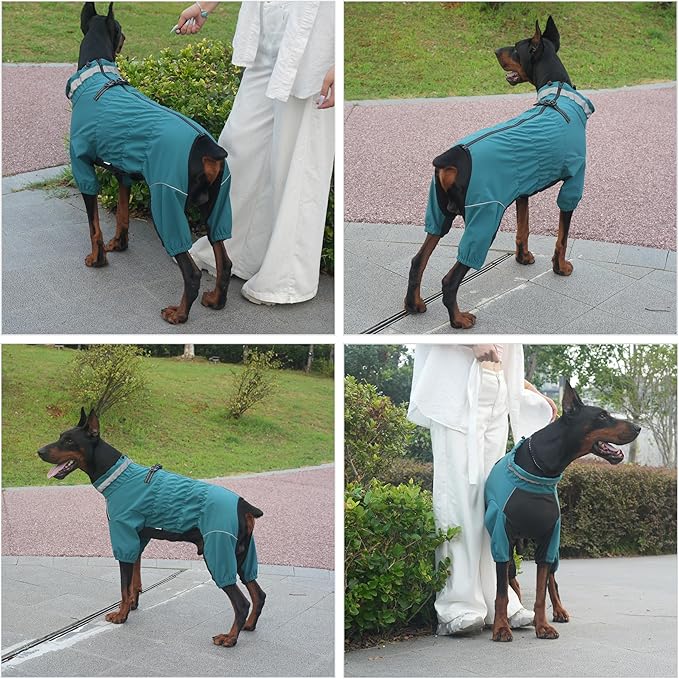 Winter Waterproof Dog Snowsuit – Full Body Outdoor Jacket with Leash Ring, Fleece Lining, Windproof Reflective 4-Leg Dog Coat for Small to Large Dogs Teal Blue S