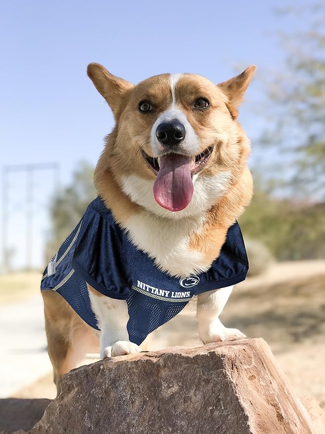 Pets First NCAA College Penn State Nittany Lions Mesh Jersey for DOGS & CATS, X-Small.Licensed Dog Jersey with your Favorite Football/Basketball College Team