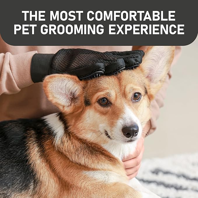 Maxpower Planet Hair Brush & Grooming Gloves for Dogs and Cats - Black
