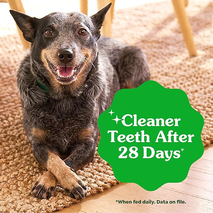 Greenies Dog Treats Veterinarian-Recommended Natural Dental Treats for Dogs, Teenie Size, Blueberry Flavor, 12 oz. Packs, 43 Count