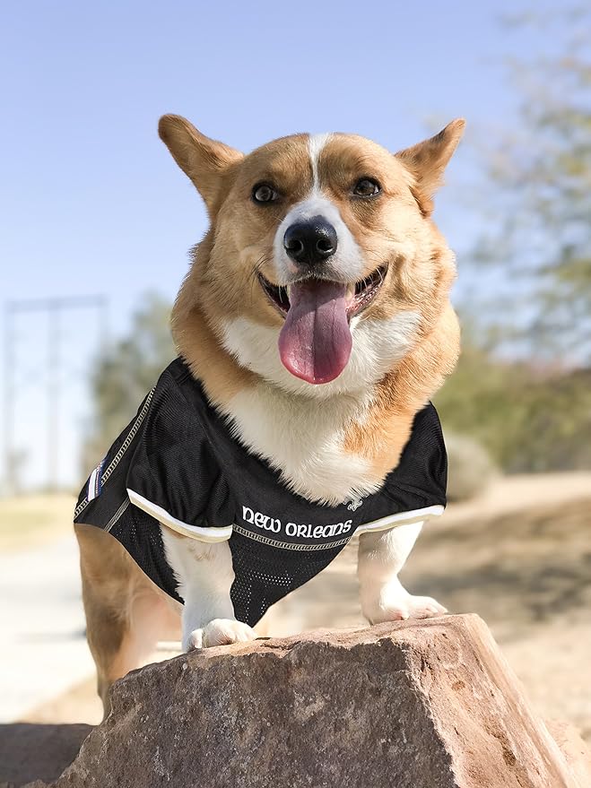 NFL NEW ORLEANS SAINTS DOG Jersey, X-Large