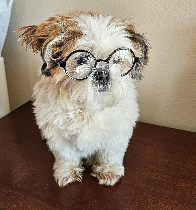 G002 Dog Pet Clear Lens Costume Glasses Small to Medium Breeds 12LBS~30LBS Prop Photoshoot Sunglasses (Round Black-Clear)