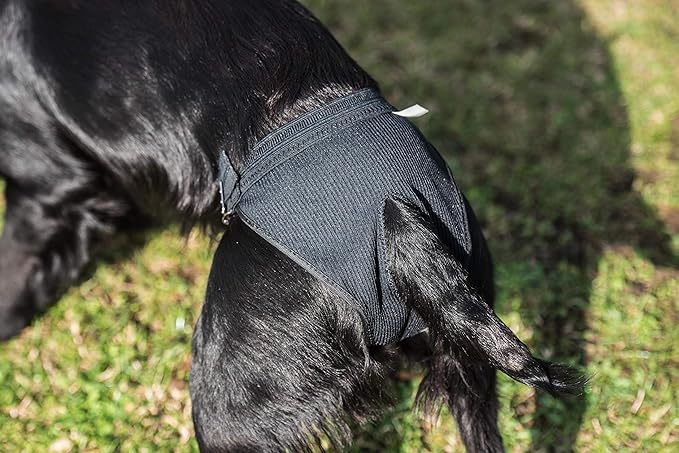 Mikki Dog Hygiene Pant Knickers and Period Pads for Female Bitches on Heat, in Mating Season - Large