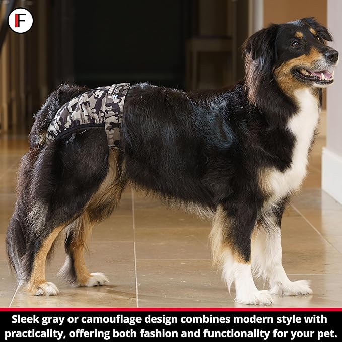 FINNERO Brenda Reusable Dog Diaper, Leak-Proof, Adjustable, Heat & Incontinence Protection, S – Camo