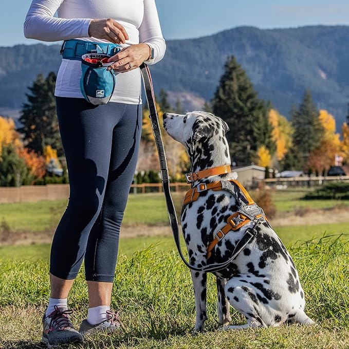Kurgo Go Stuff It Dog Treat Bag, Training Treat Pouch Bag for Dogs, Treat Pouches for Pets, Hands-Free Pouch Waist, Reflective, Includes Carabiner, MOLLE-Compatible (Navy Blue)