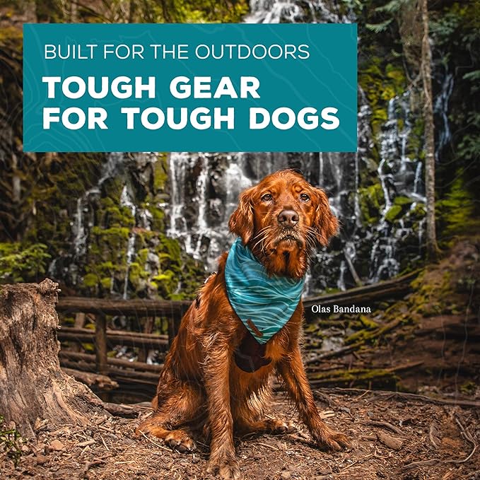Wilderdog Dog Bandana with Lightweight Quick Drying Poly-Blend Mesh Material in Agave