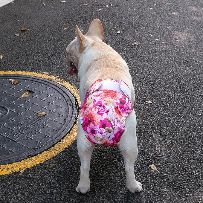 CuteBone Washable Dog Diapers Female No Tail Hole 3 Pack Reusable Doggie Period Training Pants for Docked-Tail Frenchie French Bulldog Boston Terrier Without Tail WWD02S