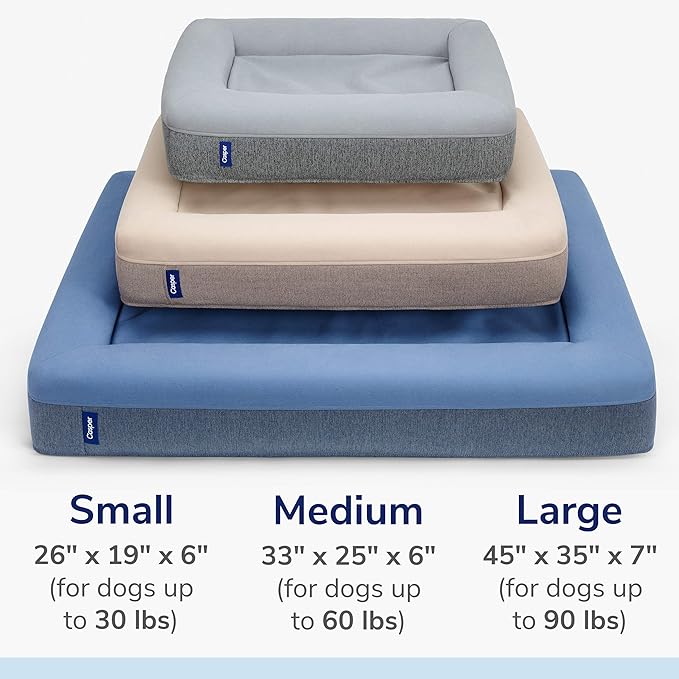 Casper Dog Bed, Plush Memory Foam, Small, Blue