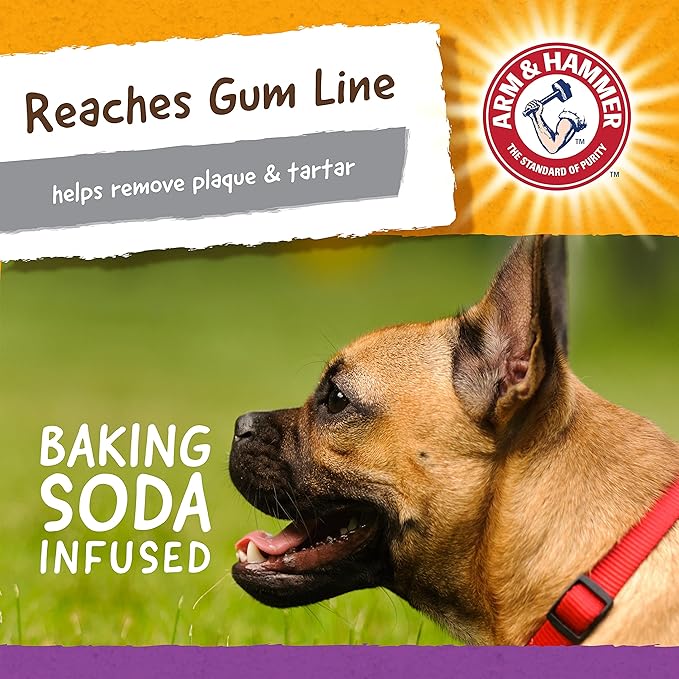 Arm & Hammer for Pets Super Treadz Mini Gator Dental Chew Toy for Dogs Best Dental Dog Chew Toy Dog Dental Chew Toys Reduce Plaque & Tartar Buildup Without Brushing (Pack of 1)