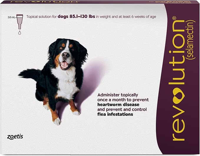 Revolution (selamectin) Topical Solution for Dogs, 85.1-130 lbs (Plum), 1 Tube