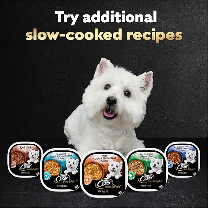 Cesar Home Delights Adult Wet Dog Food, Turkey, Green Beans & Potatoes Dinner in Sauce, Wet Food for Dogs, 3.5 oz Tray, 24 Count