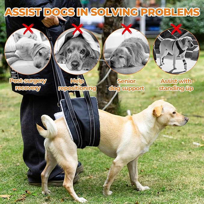 Dog Lift Harness, Adjustable Comfortable Dog Sling with Handle for Hind Leg Support Soft Lift Support and Rehab Harness for Weak Rear Legs, Helps Senior, Injured, Disabled and After ACL Surgery Dogs S