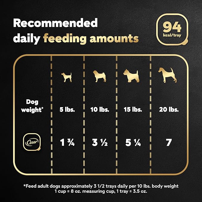 Cesar Filets in Gravy, Adult Wet Dog Food, Prime Rib Flavor, Wet Food for Dogs, 3.5 oz Trays, 24 Count