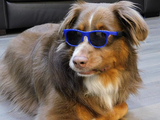 G006 Dog Pet 80s Costume Sunglasses Prop Photoshoot Medium Breeds 20-40 lbs (2-Pack Black+Navy Blue)