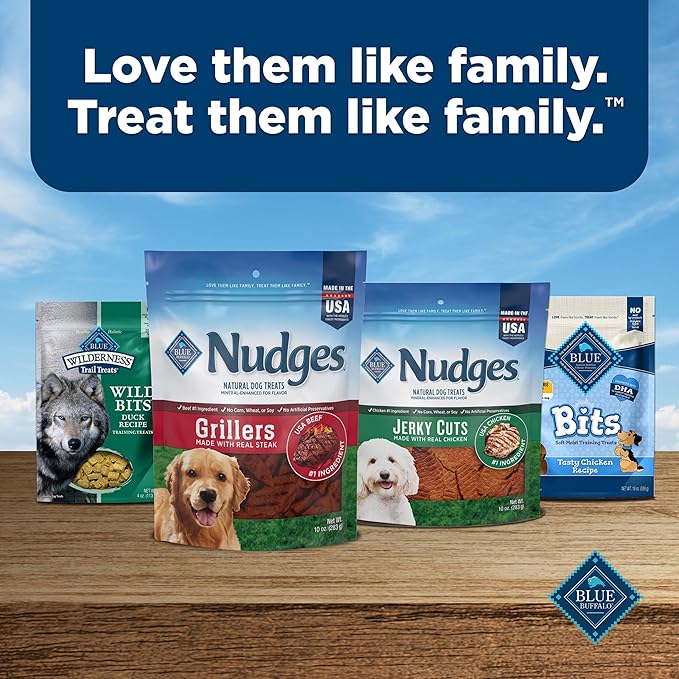 Blue Buffalo Nudges Grillers Natural Dog Treats, Made in the USA with Real Steak, 16-oz Bag (Pack of 5)