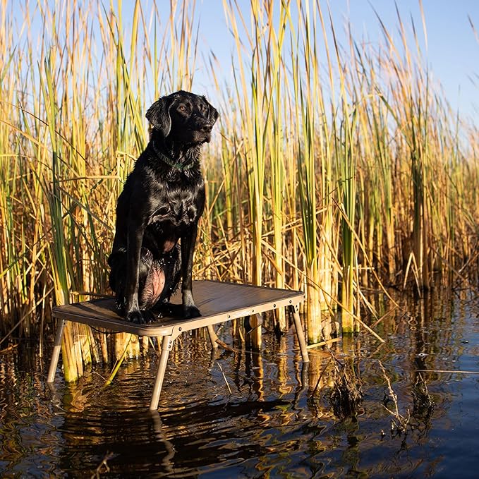 Avery ASD Quick Stand for Dog 90066 - Hunting Water-Draining Mesh Bed with Steel Frame & Adjustable 20" to 31" Non-Slip Feet