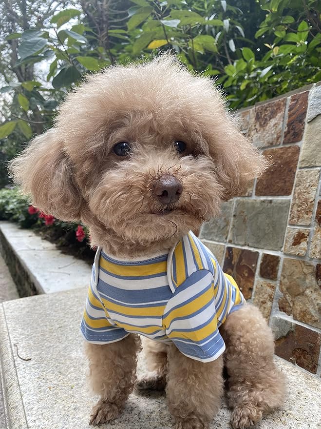 Dog Shirts Cotton Striped T-Shirt, Summer Pet Clothes for Small Dogs, 2-Pack Soft Puppy Apparel Cat Tee, Breathable Stretchy, Red Yellow XXL