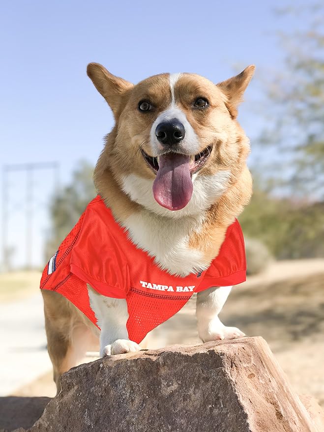 NFL Tampa Bay Buccaneers Dog Jersey - Small, Football Jersey Costume for Dogs